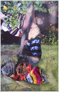 Expo Galerie des Sablons - Genève Expo Galerie des Sablons - Genève